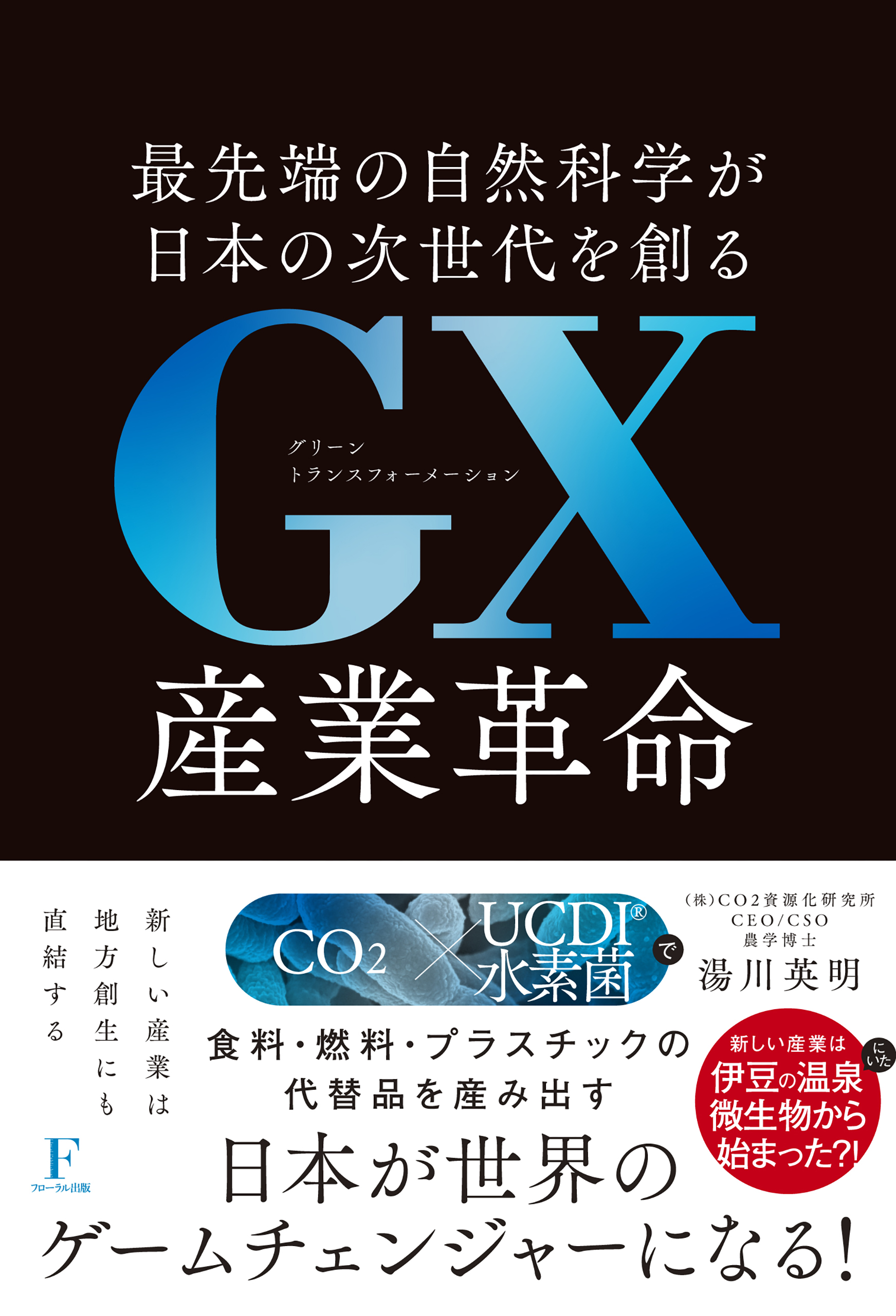 ナノテクノロジ-の研究開発と社会受容 多様性から豊かな未来へ　ＰＥＮ　２０１３年度版/共同文化社/産業技術総合研究所（単行本） ナノテクノロジ-の研究開発と社会受容 多様性から豊かな未来へ